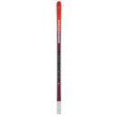 atomic sg race skis