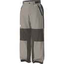 The North Face Men's GTX Hex Pant - Stone Slab/Dark Chestnut
