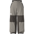 The North Face Men's GTX Hex Pant - Stone Slab/Dark Chestnut