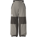 The North Face Men's GTX Hex Pant - Stone Slab/Dark Chestnut