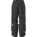 The North Face Men's Chakal Pant - TNF Black