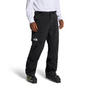The North Face Men's Freedom Pant - TNF Black