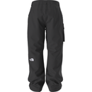 The North Face Men's Freedom Pant - TNF Black