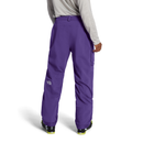 The North Face Men's Freedom Pant - Peak Purple/TNF Black