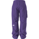 The North Face Men's Freedom Pant - Peak Purple/TNF Black