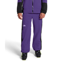 The North Face Men's Slider Pant - Peak Purple/TNF Black