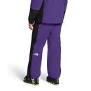The North Face Men's Slider Pant - Peak Purple/TNF Black