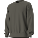 The North Face Men's Dynamic Crew - New Taupe Green