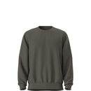 The North Face Men's Dynamic Crew - New Taupe Green