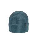 Pistil Luna Beanie - Green